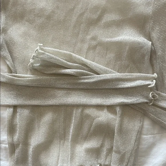 French Kiss Sheer Silver Top - Size S - Picture 3 of 3